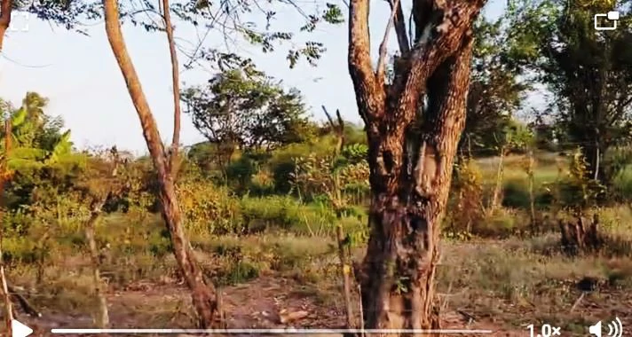 2.66-Hectare Land for Sale in Bejuco, Chame Panama Oeste – Ideal for Residential or Country Development - photo 11