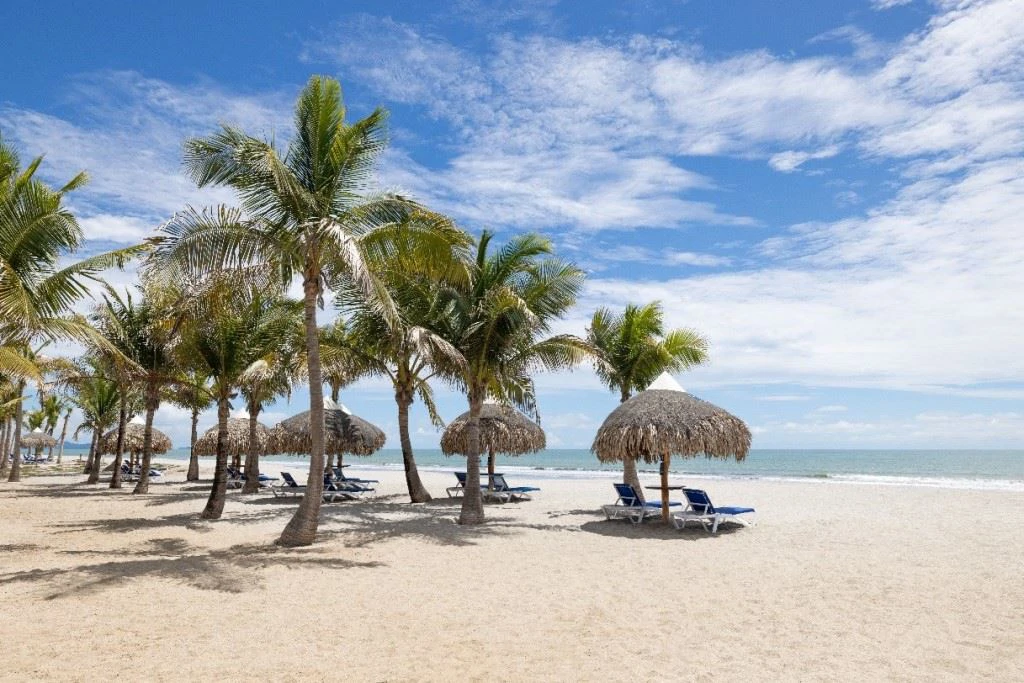 Beach Front Condos - photo 4