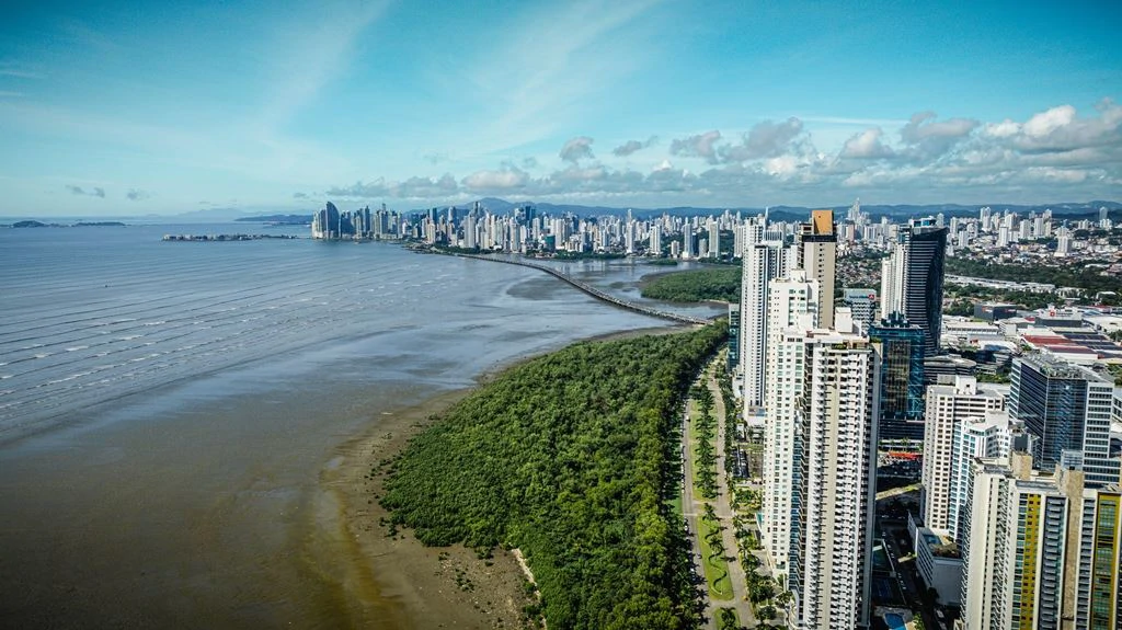 Oceanfront in Costa del Este - photo 11
