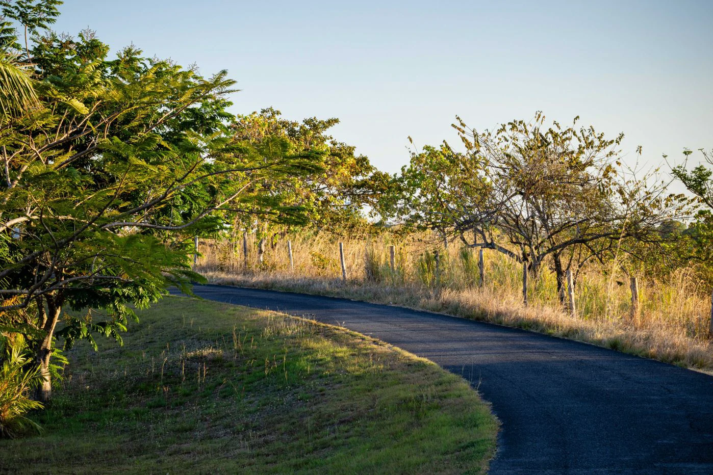 Sale of 8-Hectare Farm in San Carlos with River Frontage - photo 3