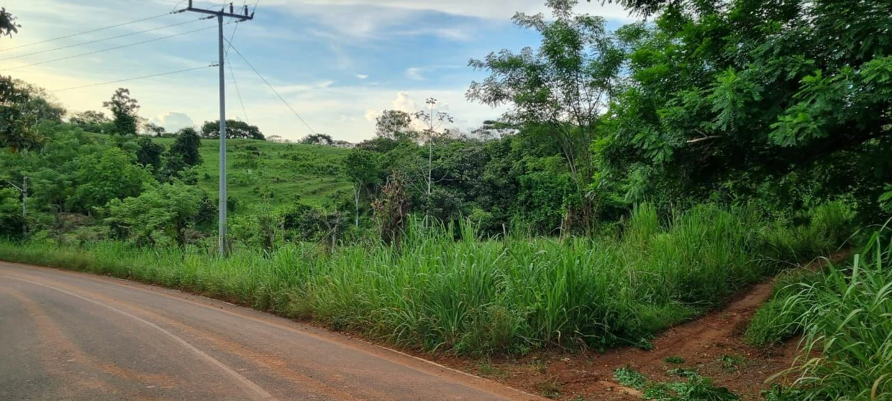 SALE OF LAND IN CHORRERA - LAS YAYAS ADENTRO (7.5 HECTARES) - photo 9