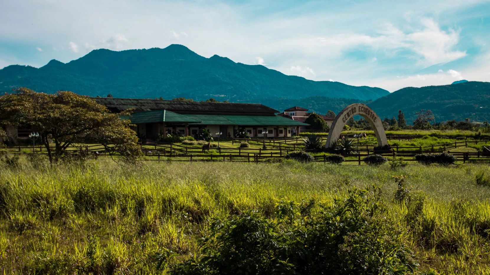 Invest in Boquete, land of flowers and coffee. - photo 7