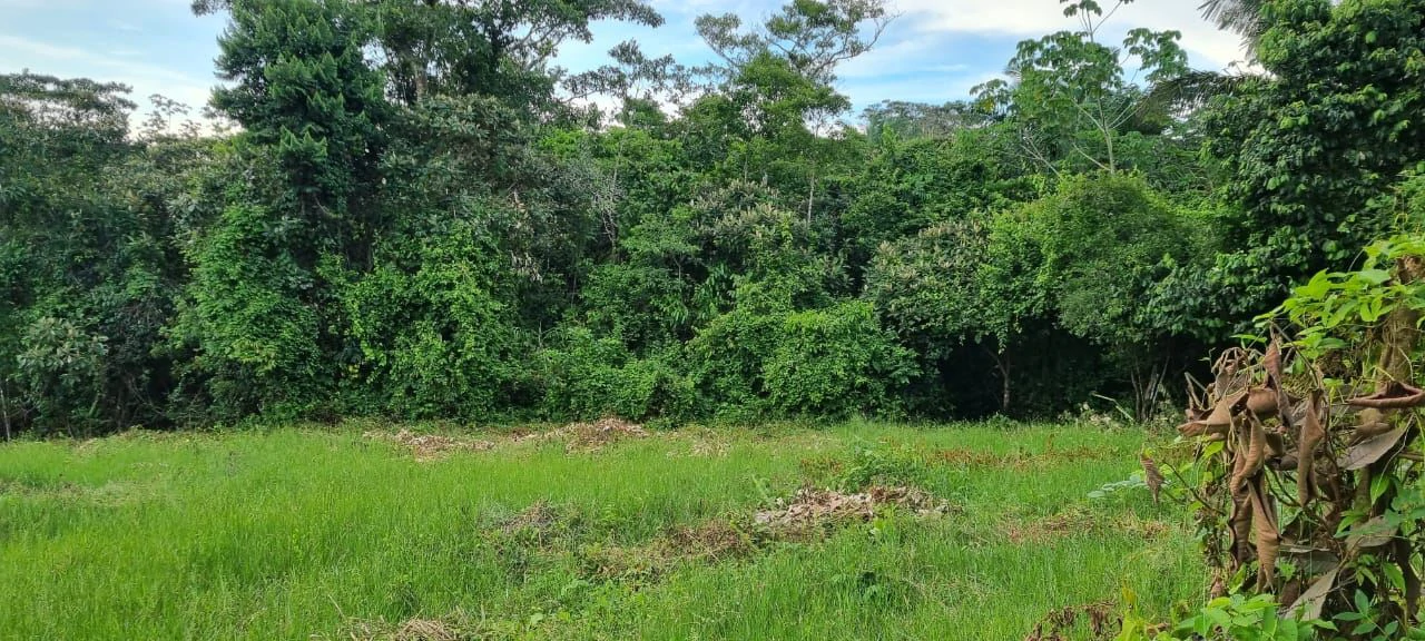 SALE OF LAND IN CHORRERA - LAS YAYAS ADENTRO (7.5 HECTARES) - photo 14