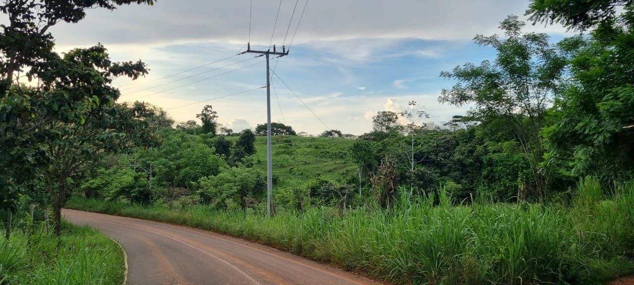 SALE OF LAND IN CHORRERA - LAS YAYAS ADENTRO (7.5 HECTARES) - photo 3