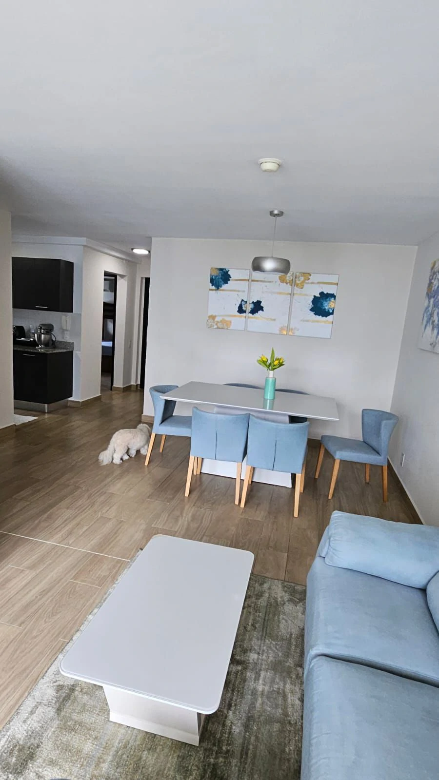 Renovated Apartment for Sale in Altos del Golf – PH Simja - photo 6