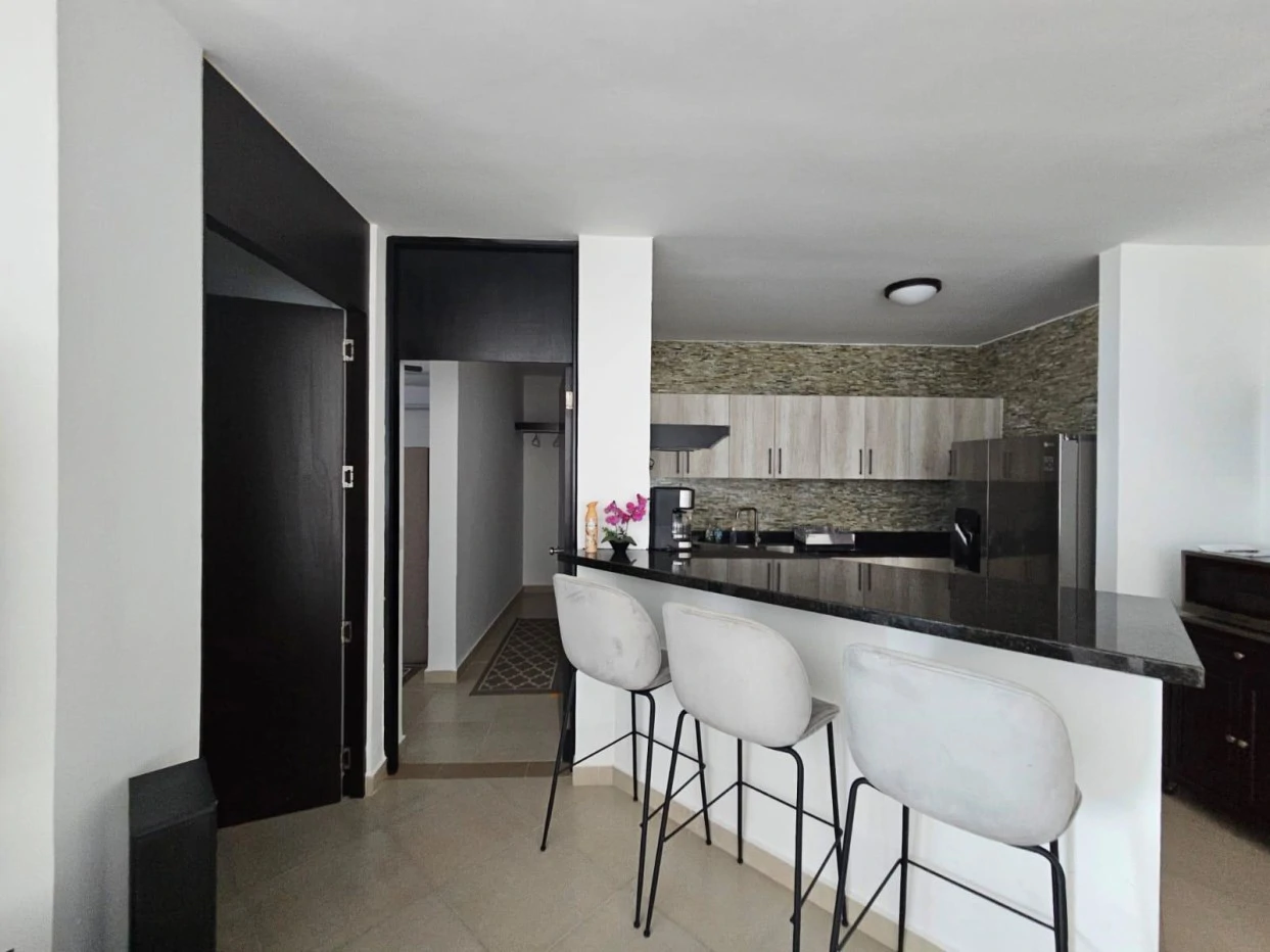 FOR SALE IN PLAYA BLANCA PENTHOUSE PH FOUNDERS ROOFTOP AND JACUZZI -OCEAN VIEW - photo 2
