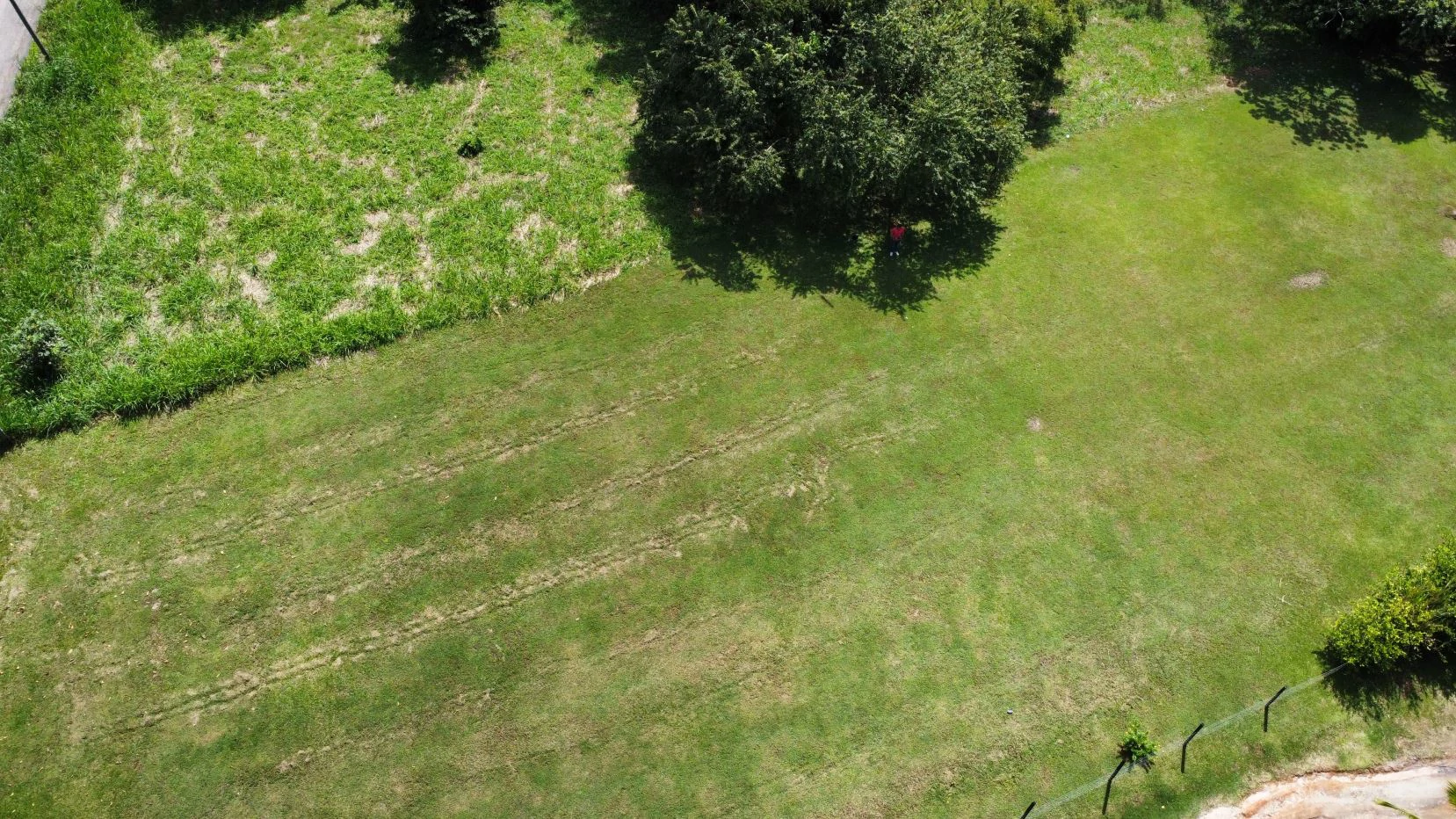 Land for sale in San Carlos - photo 11