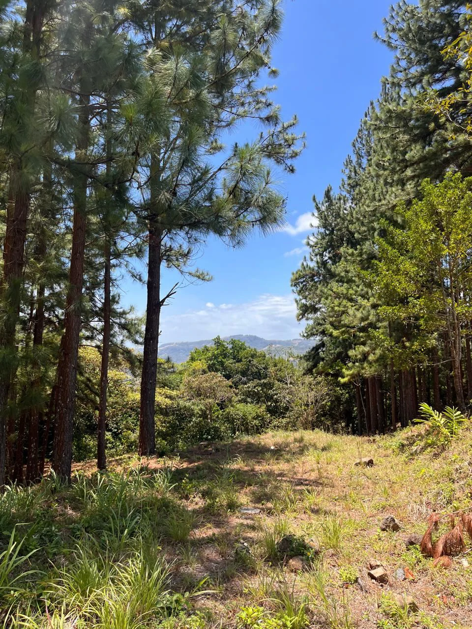 Land for Sale – Valle de la Toscana, Altos del María - photo 4