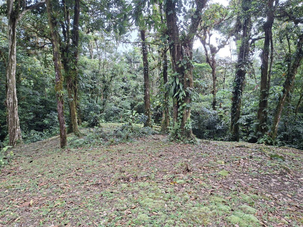 FOR SALE – Mountain Land in Altos de María, Chame District, Panamá - photo 5