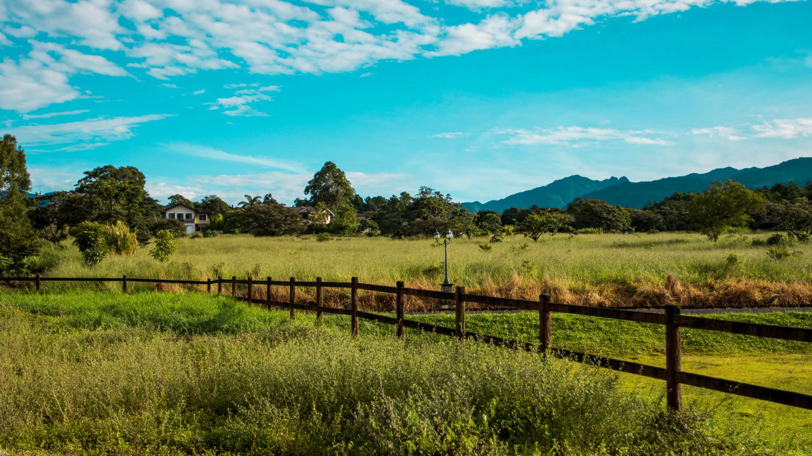 Invest in Boquete, land of flowers and coffee. - photo 17