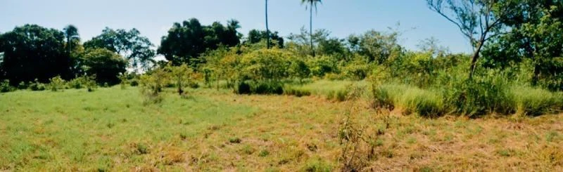 2.66-Hectare Land for Sale in Bejuco, Chame Panama Oeste – Ideal for Residential or Country Development - photo 10