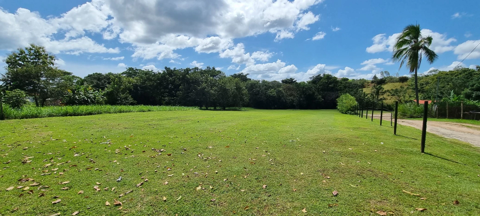 Land for sale in San Carlos
