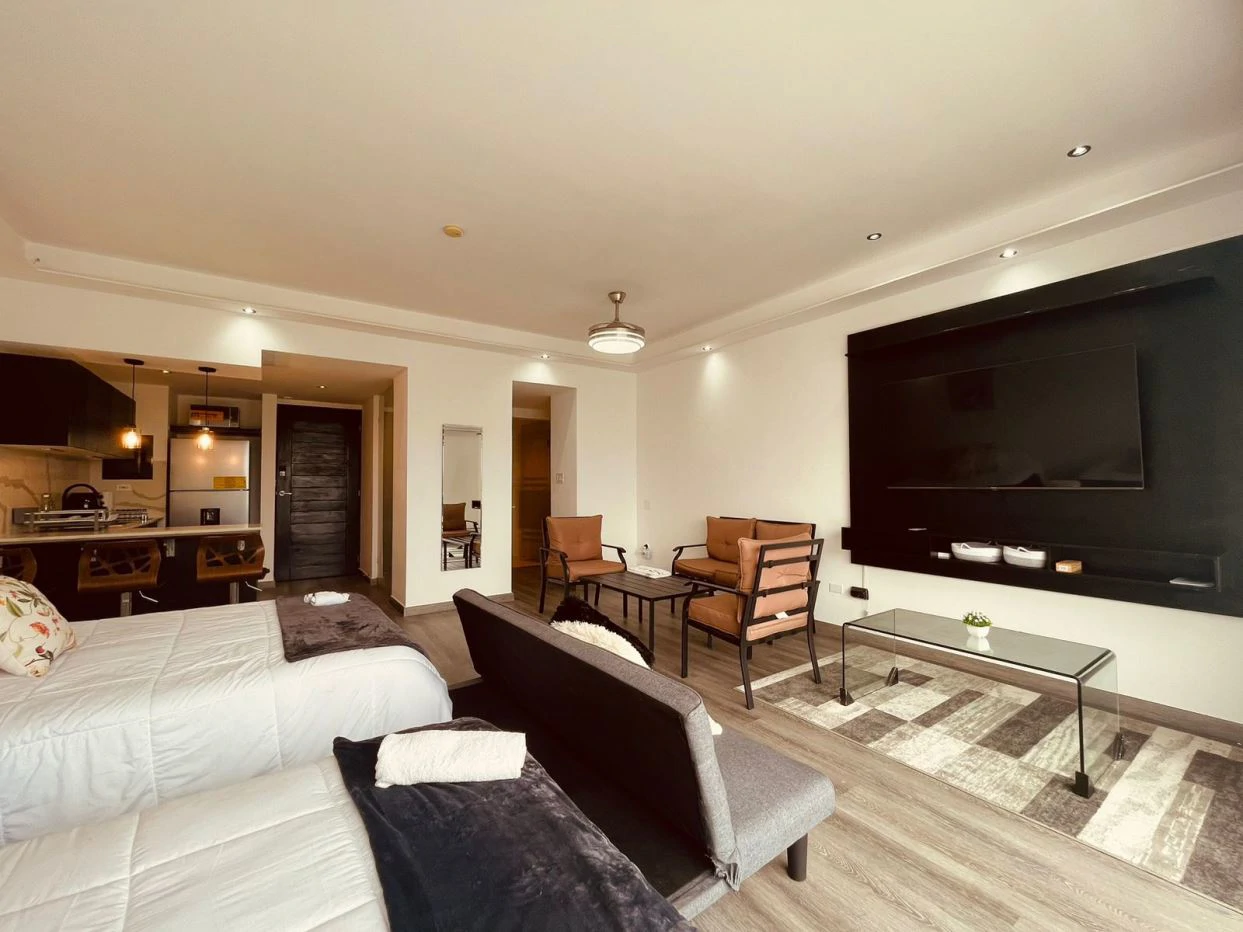 FOR SALE LOFT TYPE APARTMENT PLAYA BLANCA - TOWN CENTER - photo 4