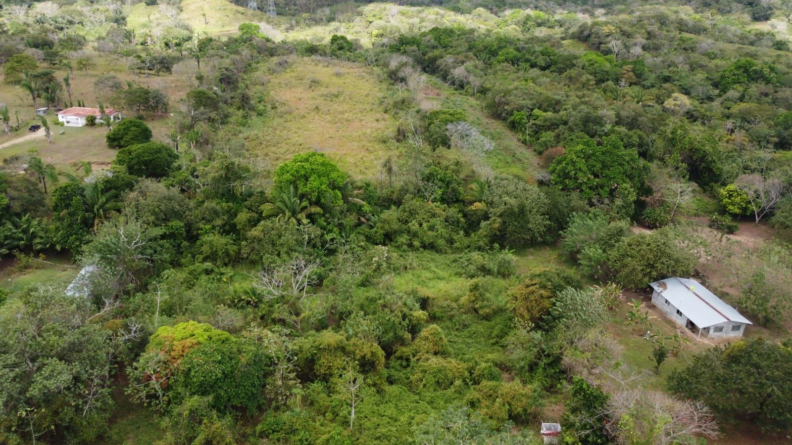 Land in Capira 68,905M2 with High Potential Return | Safe Investment in a Growing Area - photo 5
