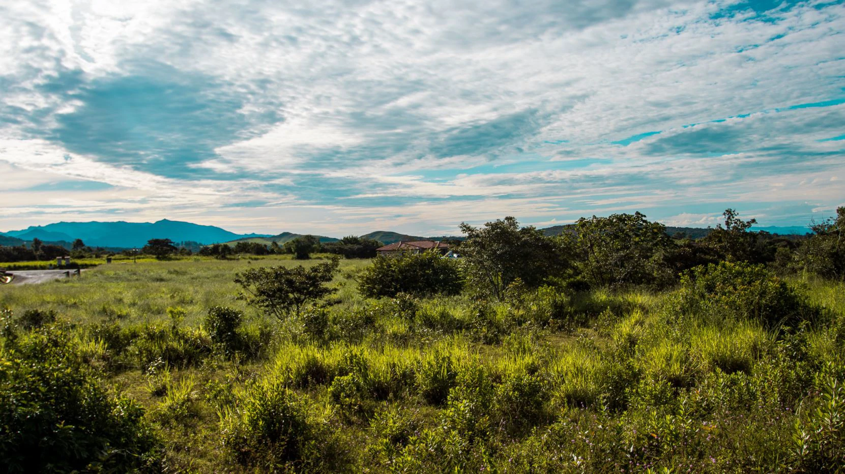 Invest in Boquete, land of flowers and coffee. - photo 14