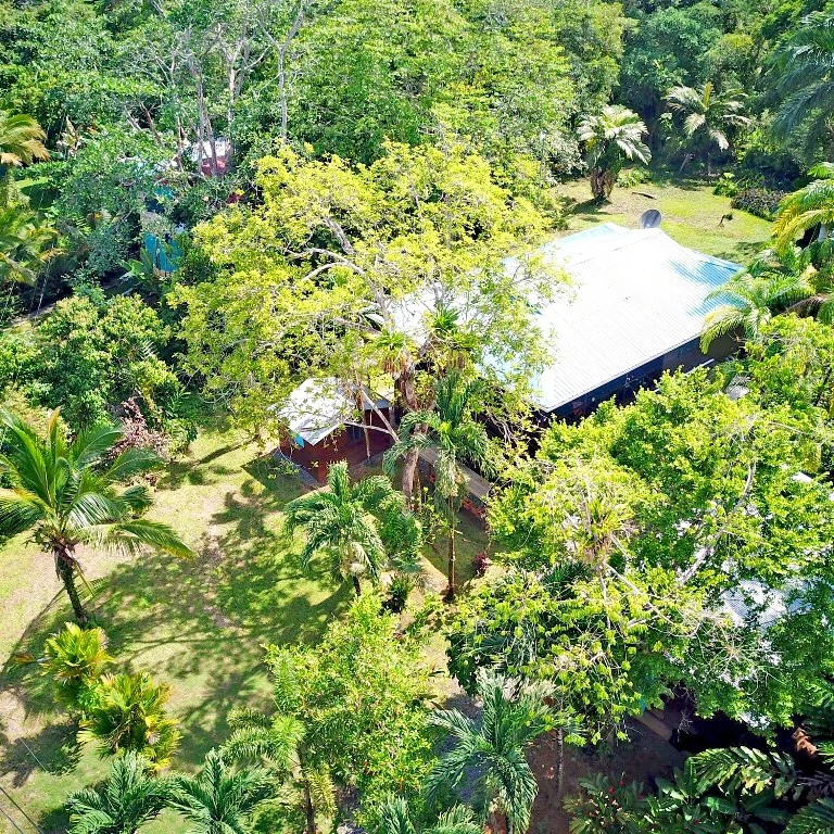 B&B nestled in the jungle of Isla Colon - Bocas del Toro - photo 25