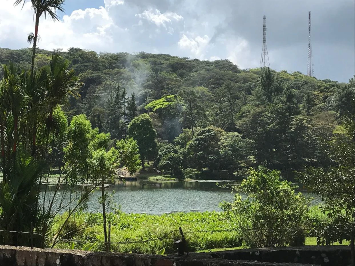 Land for Sale – 23 Hectares Private Paradise in Cerro Azul - photo 2