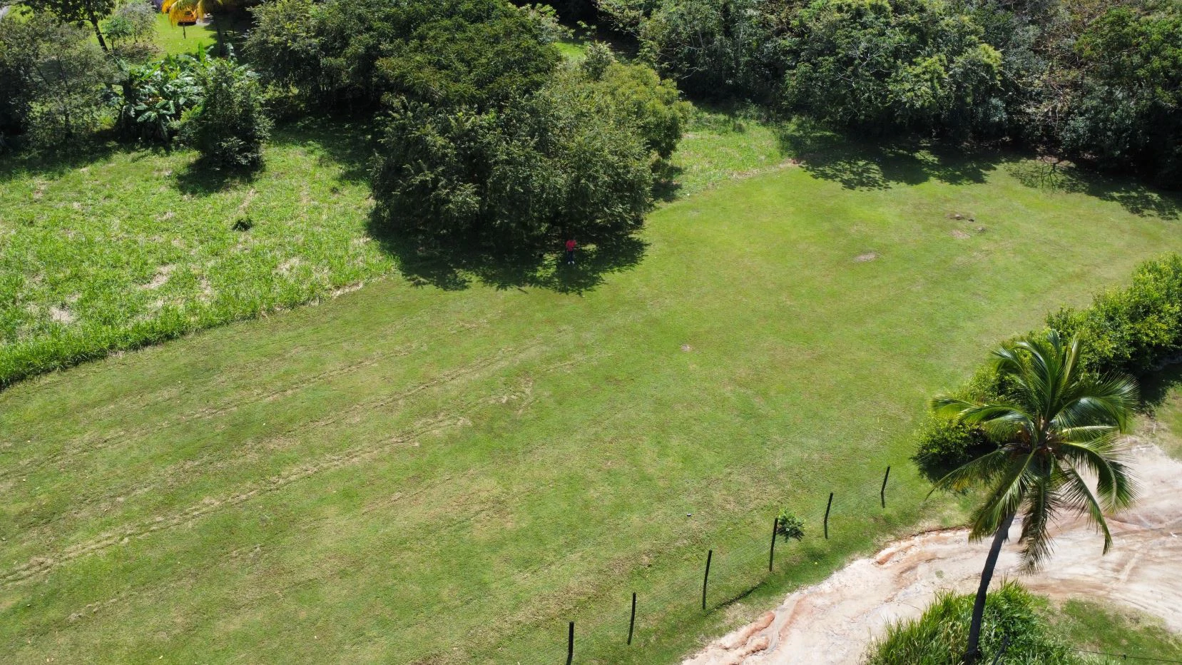 Land for sale in San Carlos - photo 10