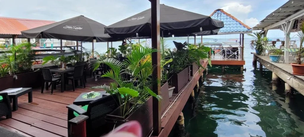 Hotel Bocas del Toro - photo 3