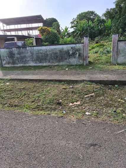 LAND FOR SALE IN LA CHORRERA - photo 5