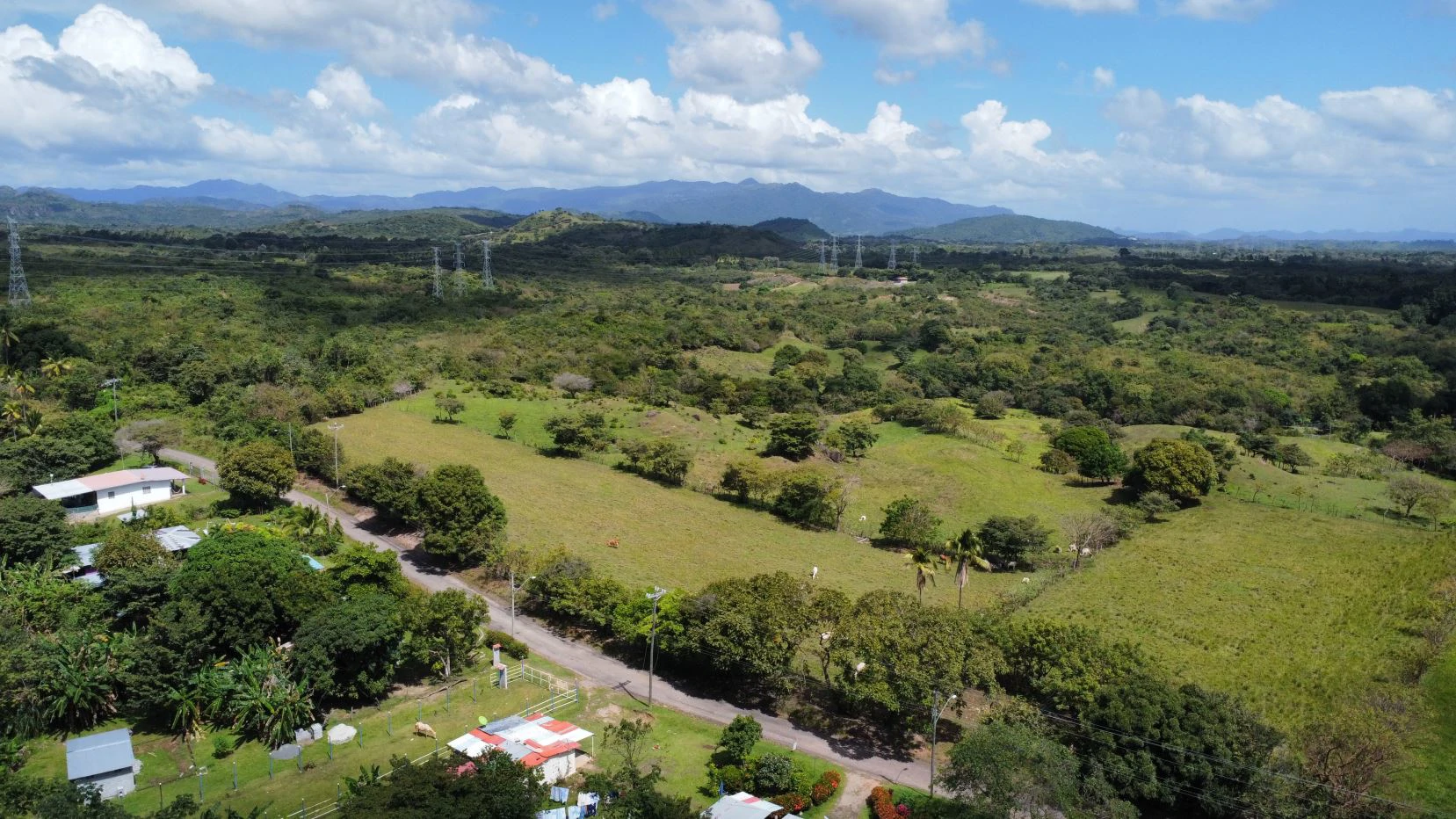 Land for sale in San Carlos - photo 14