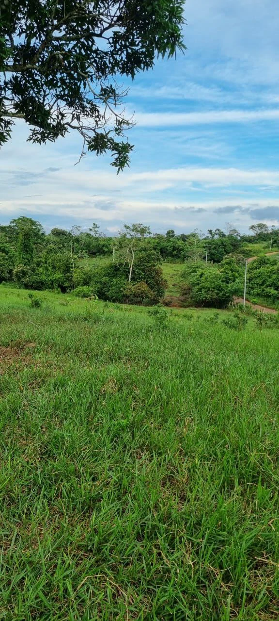 SALE OF LAND IN CHORRERA - LAS YAYAS ADENTRO (7.5 HECTARES) - photo 15