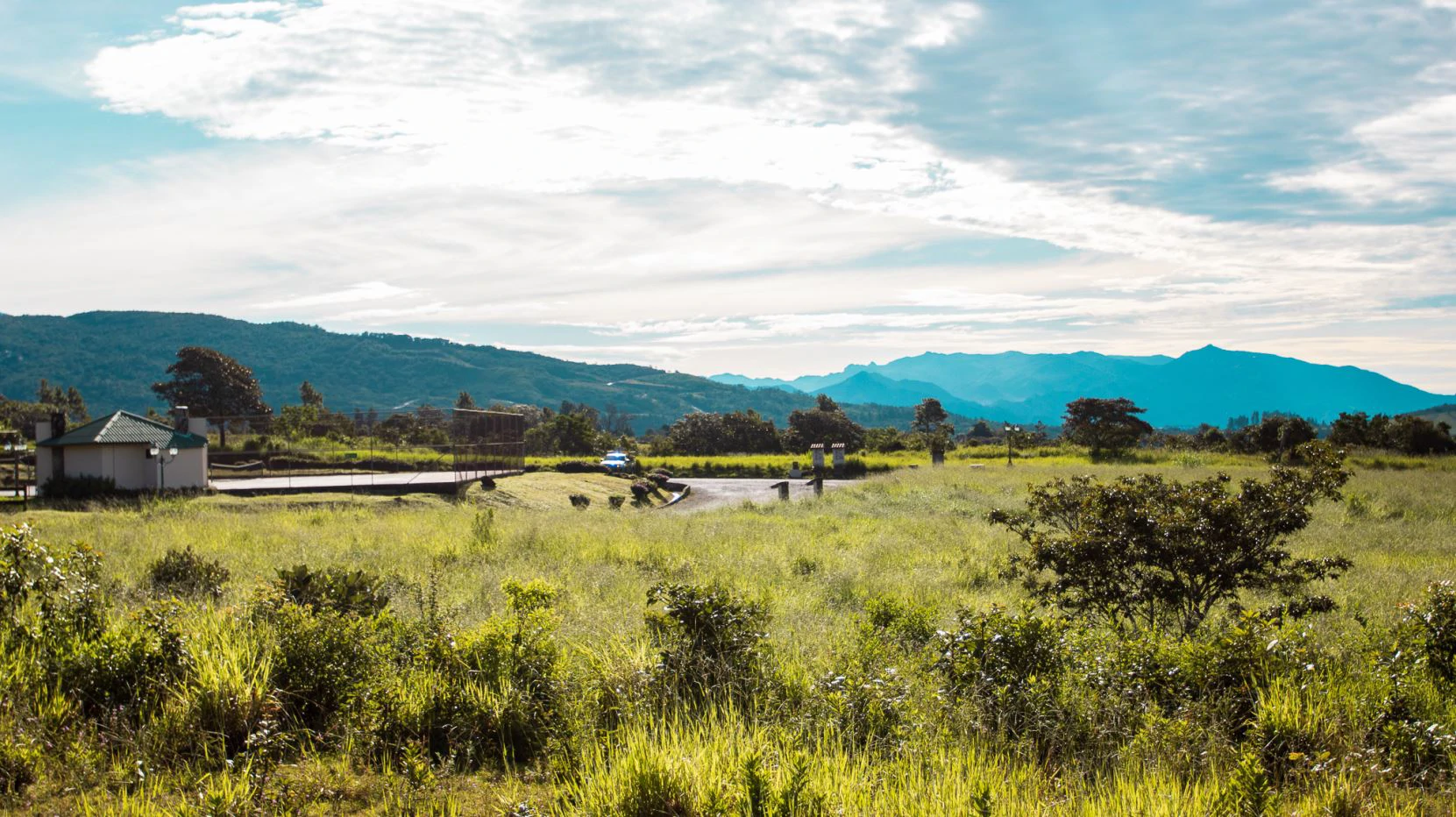 Invest in Boquete, land of flowers and coffee. - photo 11