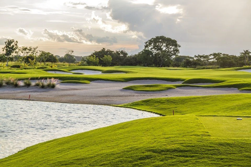 Stunning Land in Buenaventura - photo 4