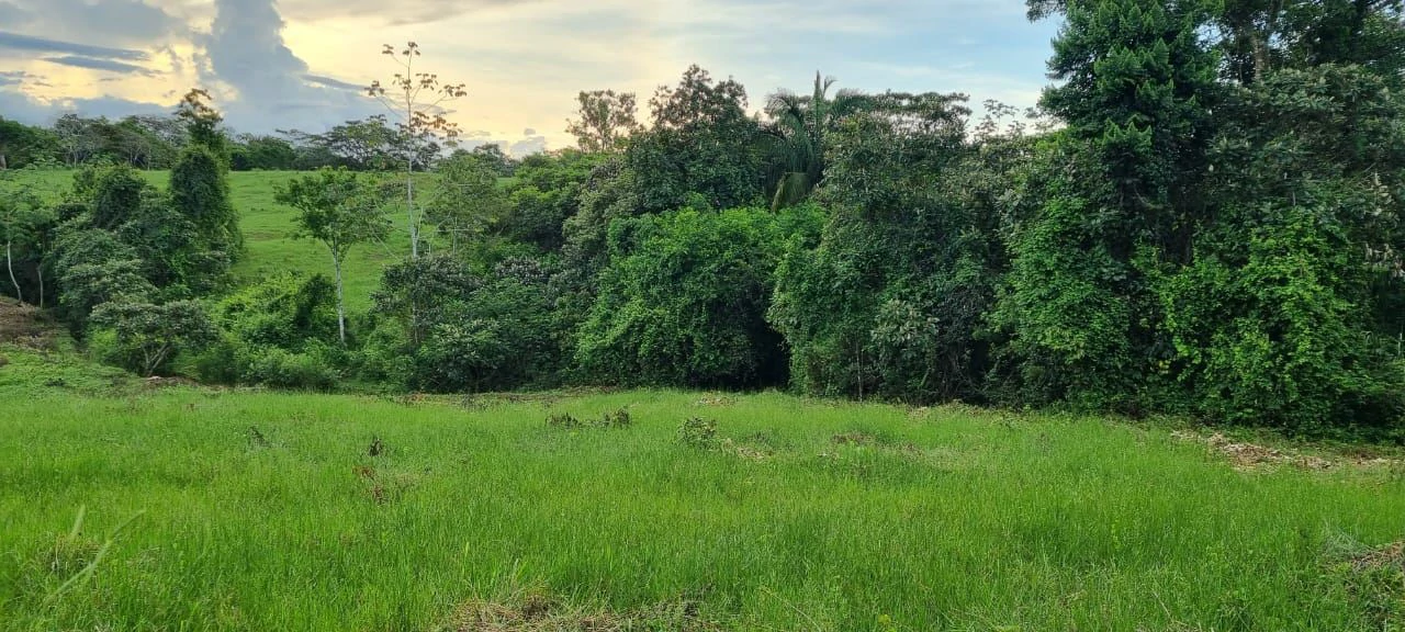 SALE OF LAND IN CHORRERA - LAS YAYAS ADENTRO (7.5 HECTARES) - photo 17