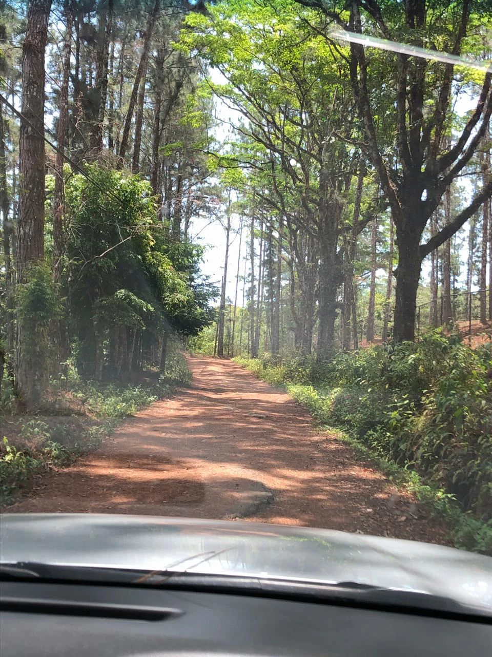 Land for Sale – 23 Hectares Private Paradise in Cerro Azul - photo 3