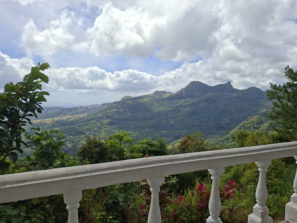 FOR SALE – Mountain Land in Altos de María, Chame District, Panamá - photo 9