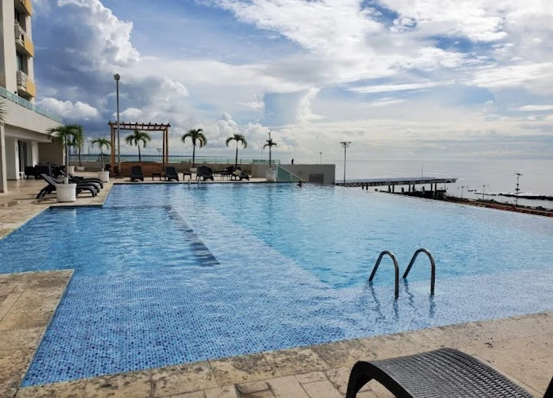 PH TERRAMAR APARTMENT FOR RENT - photo 9