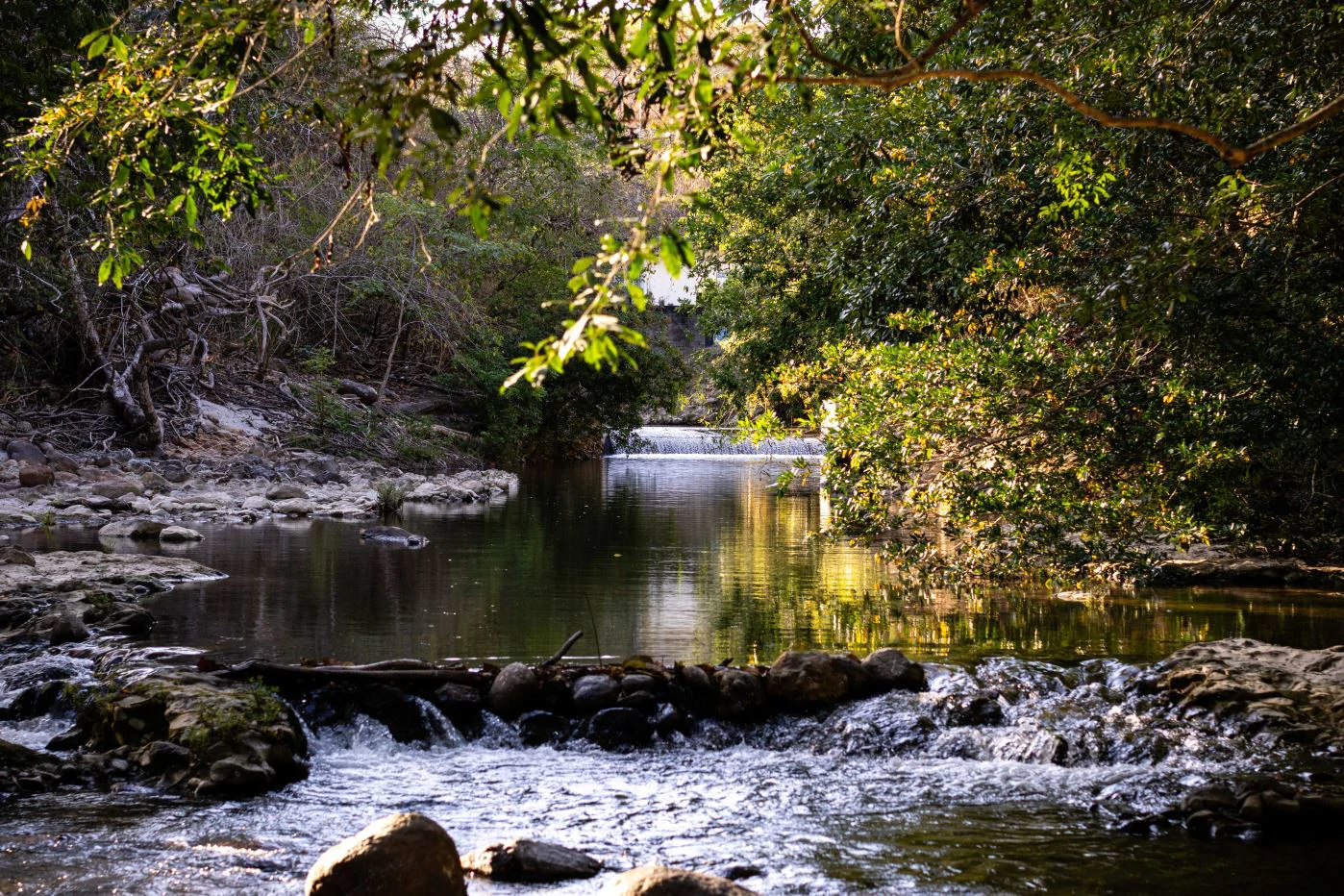 Sale of 8-Hectare Farm in San Carlos with River Frontage - photo 7