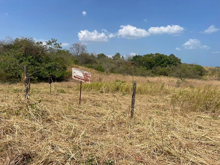 LOT / LAND SAN CARLOS - photo 2