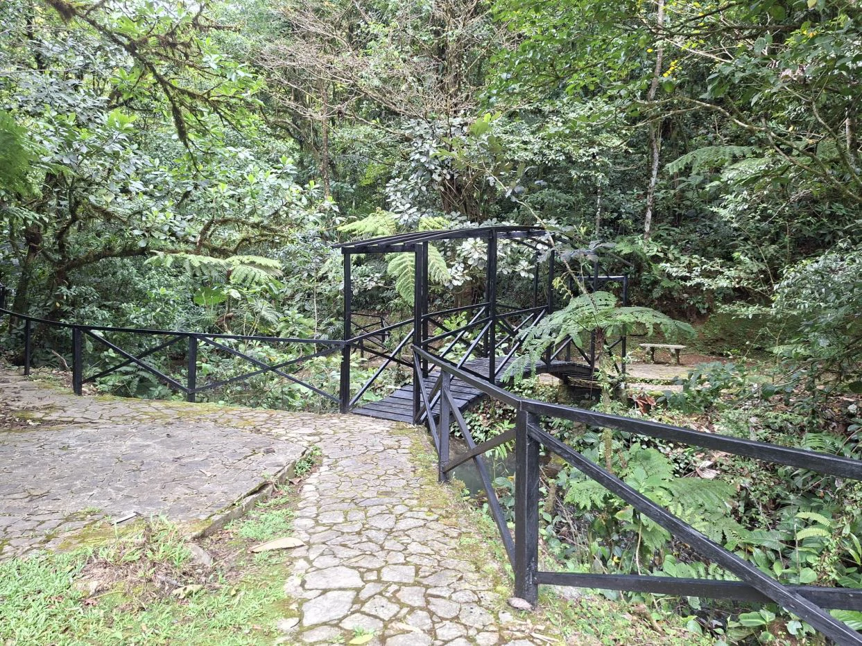 FOR SALE – Mountain Land in Altos de María, Chame District, Panamá - photo 12