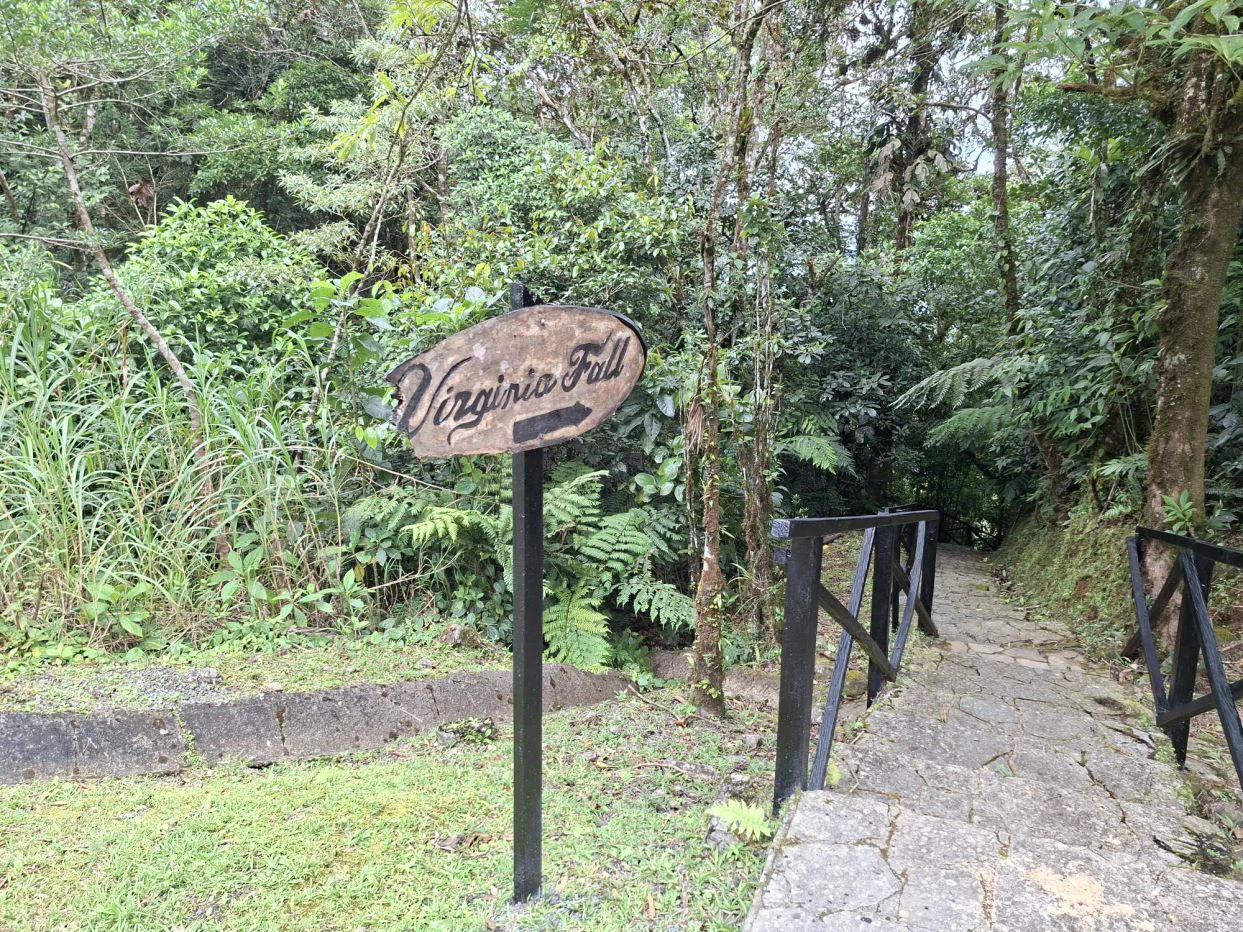 FOR SALE – Mountain Land in Altos de María, Chame District, Panamá - photo 11