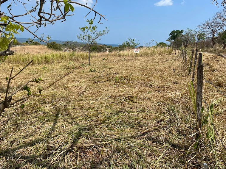 LOT / LAND SAN CARLOS - photo 7