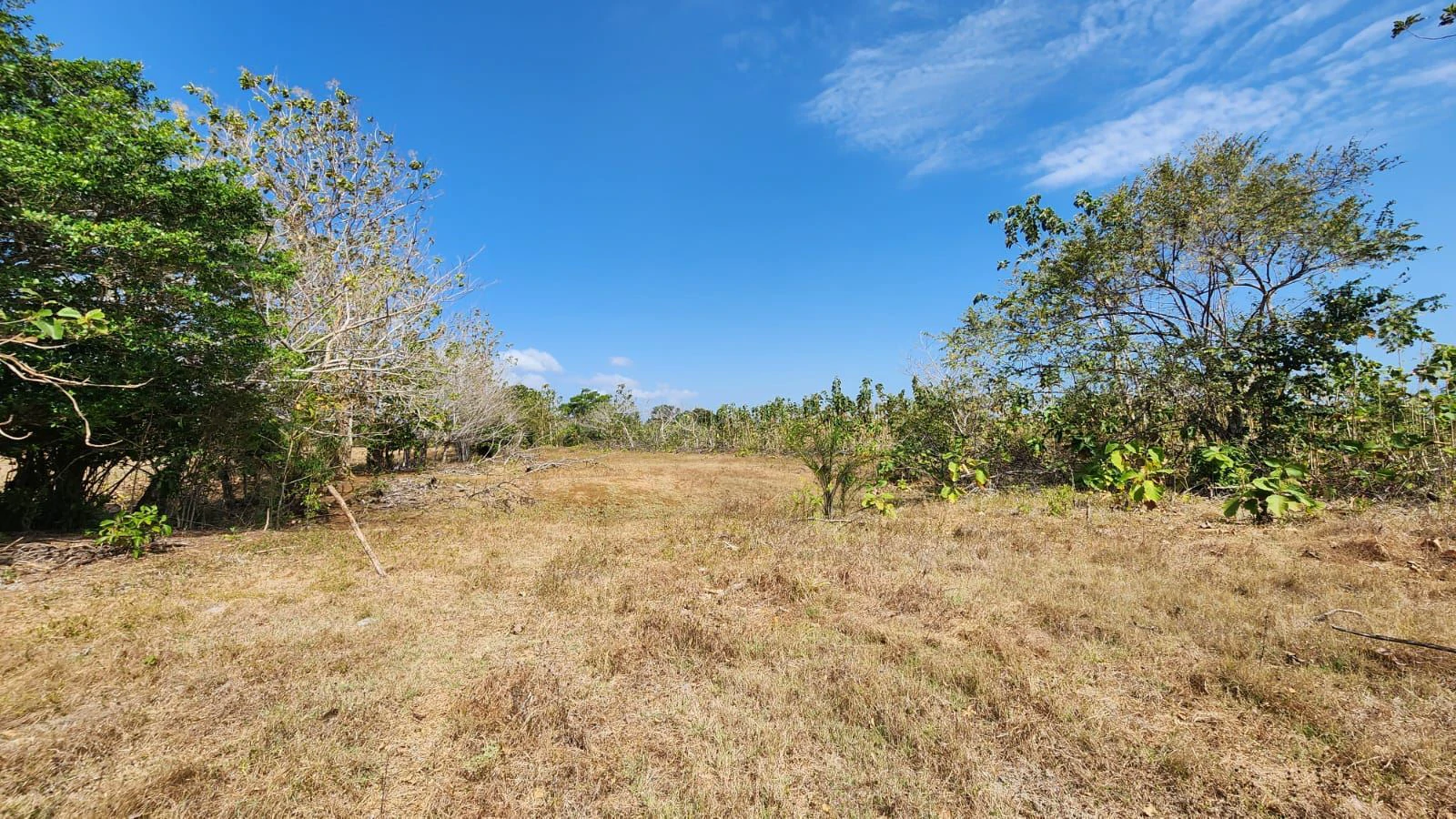 LAND FOR SALE IN LAS TABLAS – POCRÍ / PARITILLA, 15.5 HECTARES - photo 22