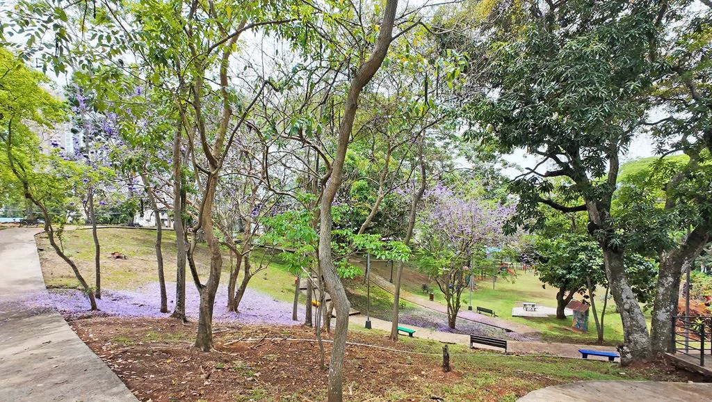 Brand New in Hato Pintado - photo 23