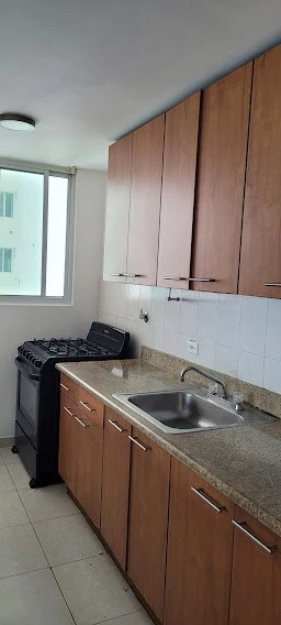 PH TERRAMAR APARTMENT FOR RENT - photo 12