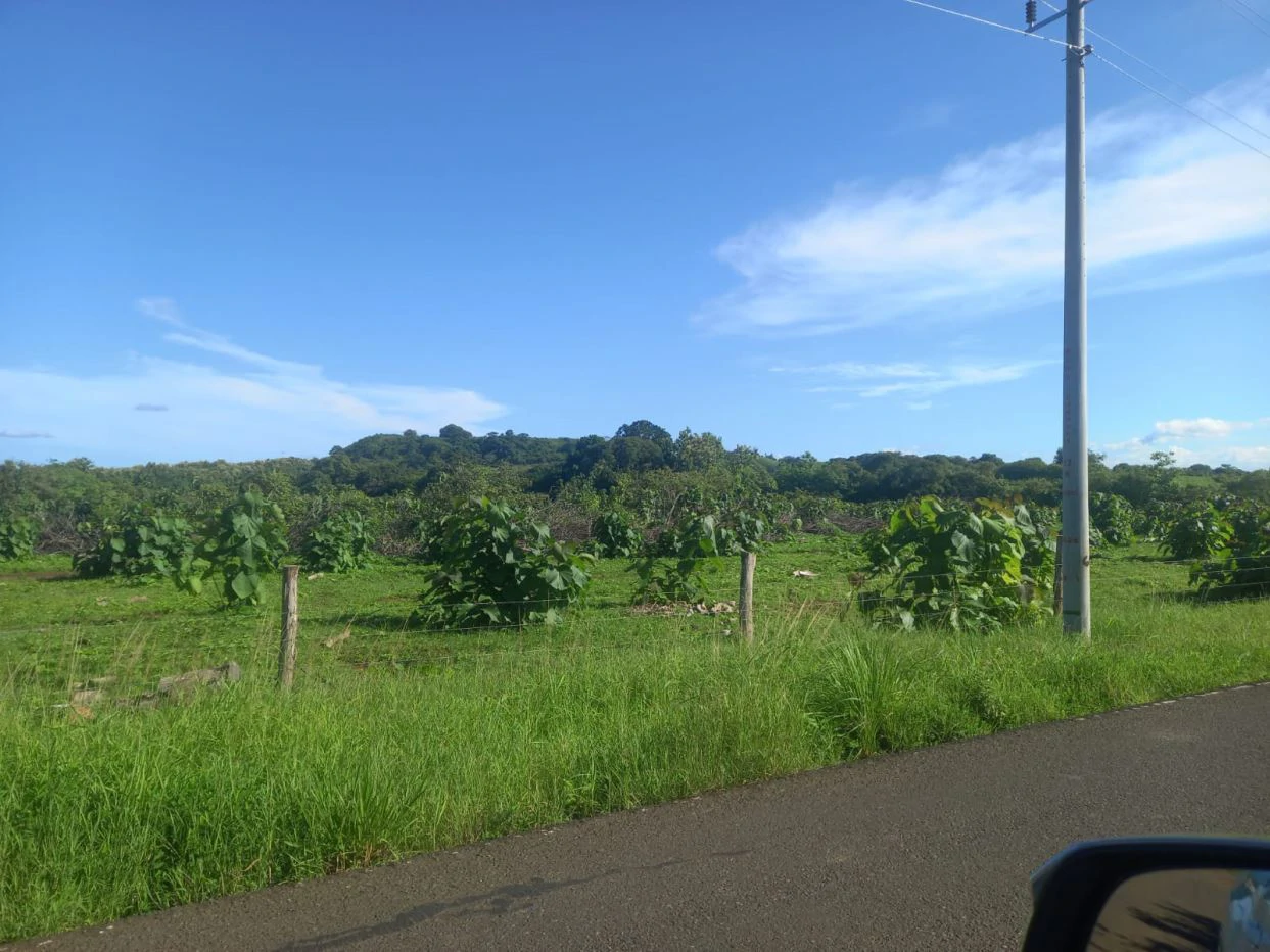 LAND FOR SALE IN LAS TABLAS – POCRÍ / PARITILLA, 15.5 HECTARES
