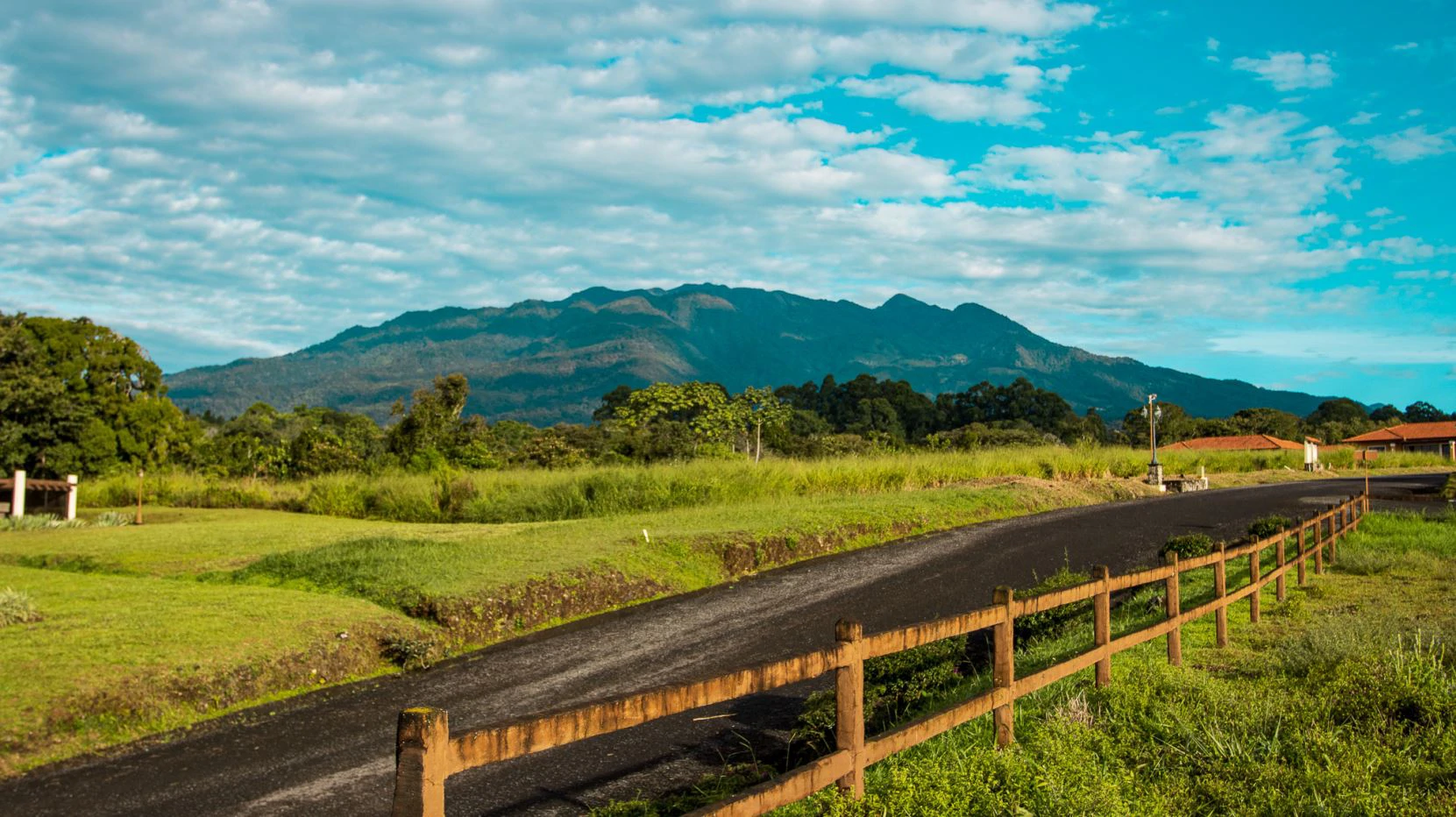 Invest in Boquete, land of flowers and coffee. - photo 18