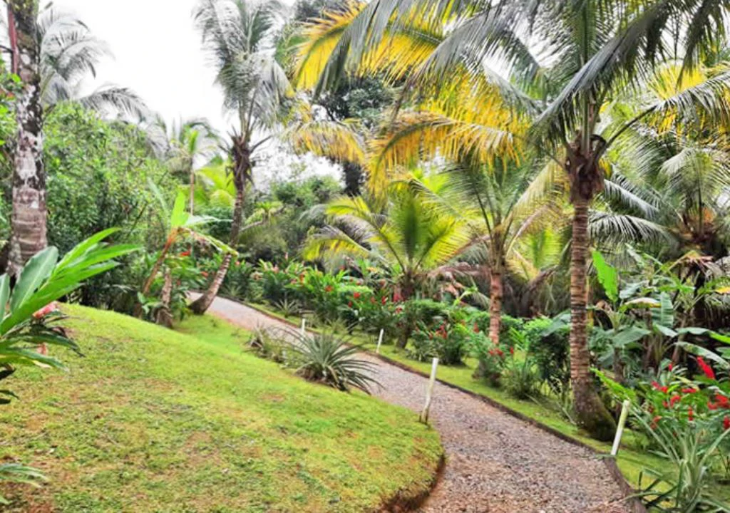 Affordable Island Living - photo 4