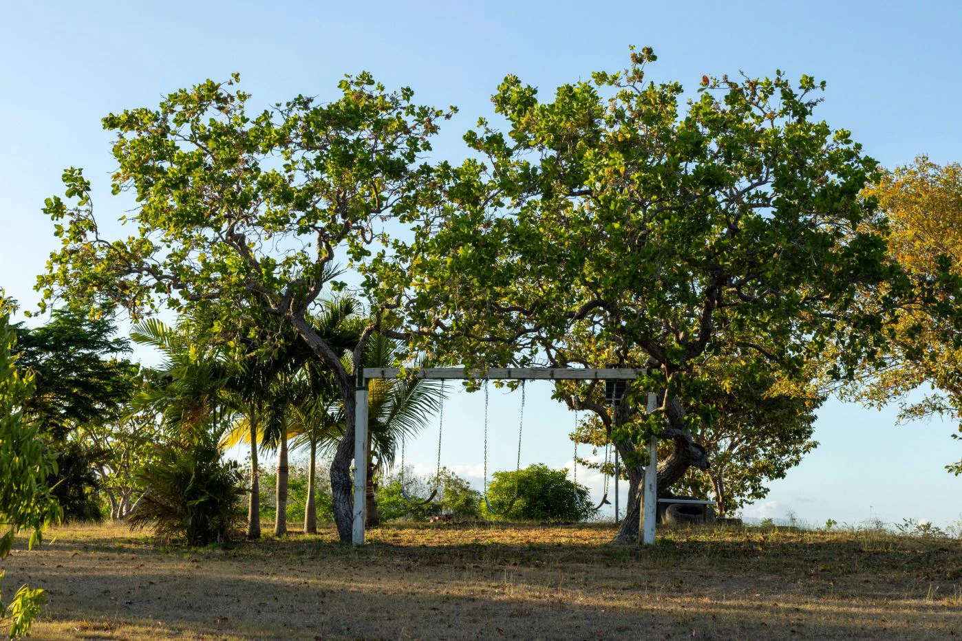 Sale of 8-Hectare Farm in San Carlos with River Frontage - photo 4