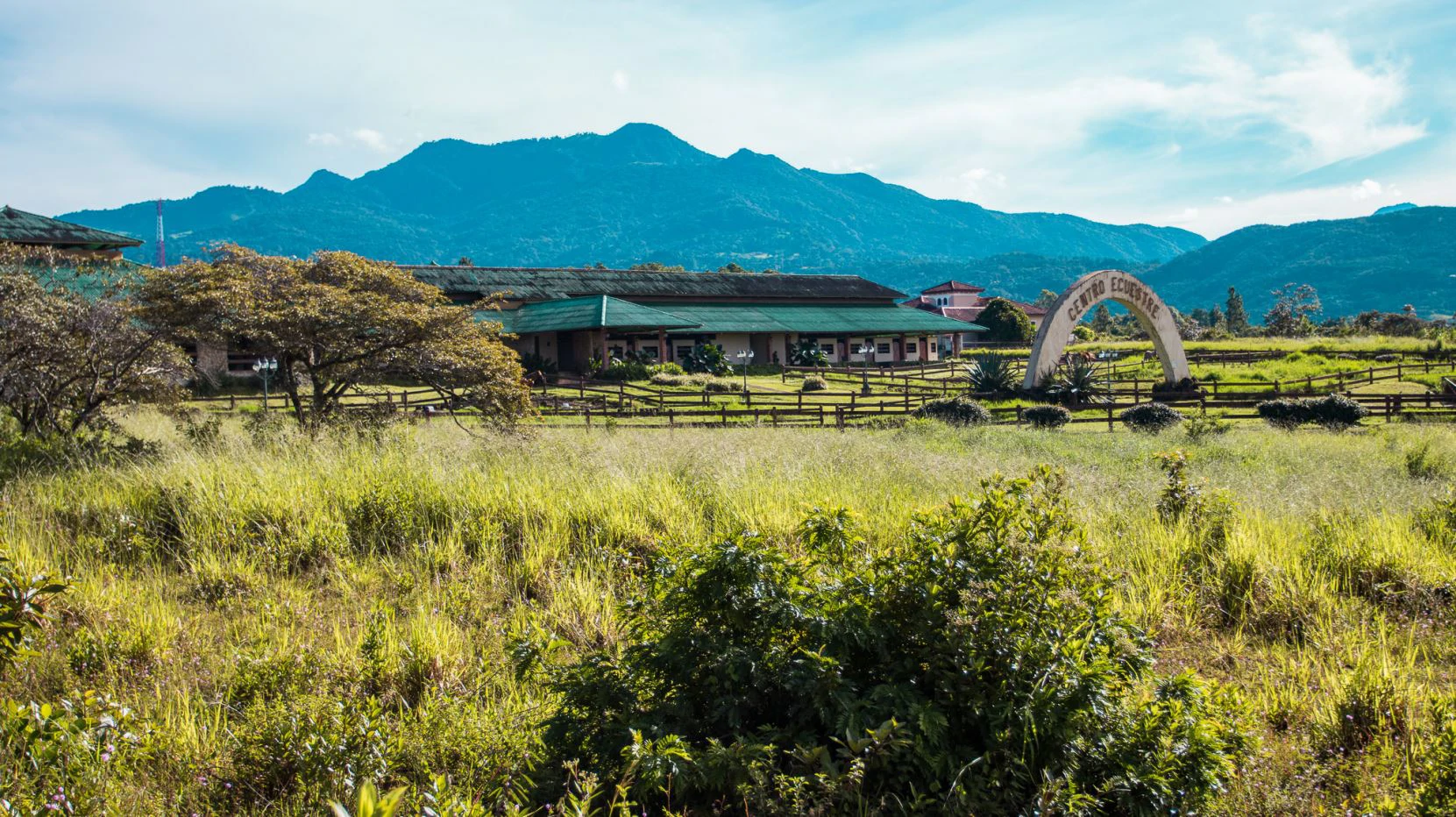 Invest in Boquete, land of flowers and coffee. - photo 6