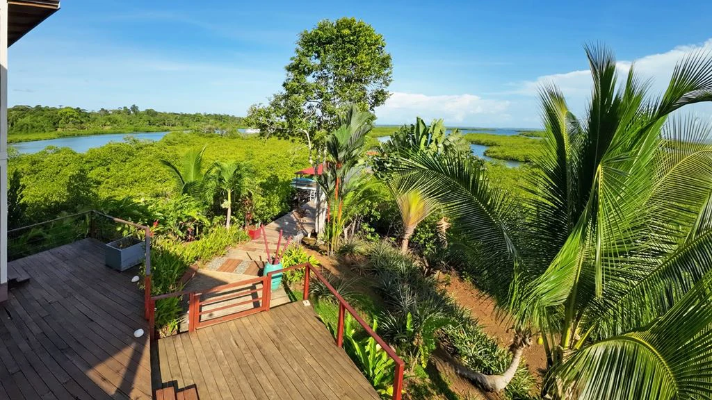 Hotel in Bocas - French Touch, Sabores Locales - photo 5