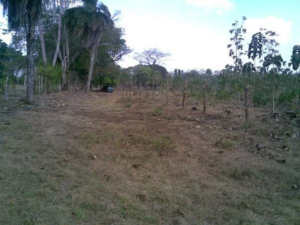 LAND FOR SALE IN LAS TABLAS – POCRÍ / PARITILLA, 15.5 HECTARES - photo 10