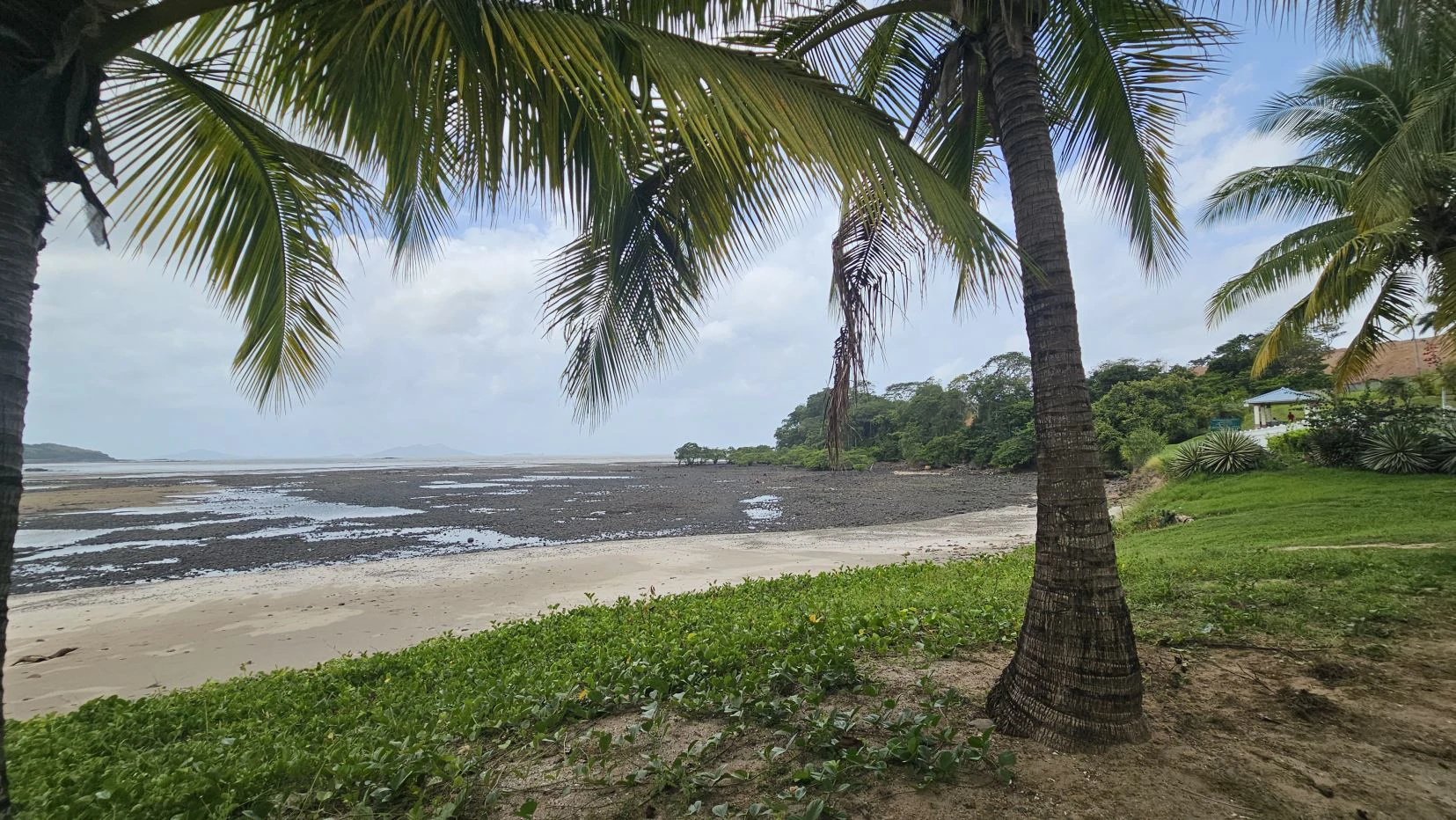 Apartament for sale in Playa Dorada Residences and Beach Club - photo 12