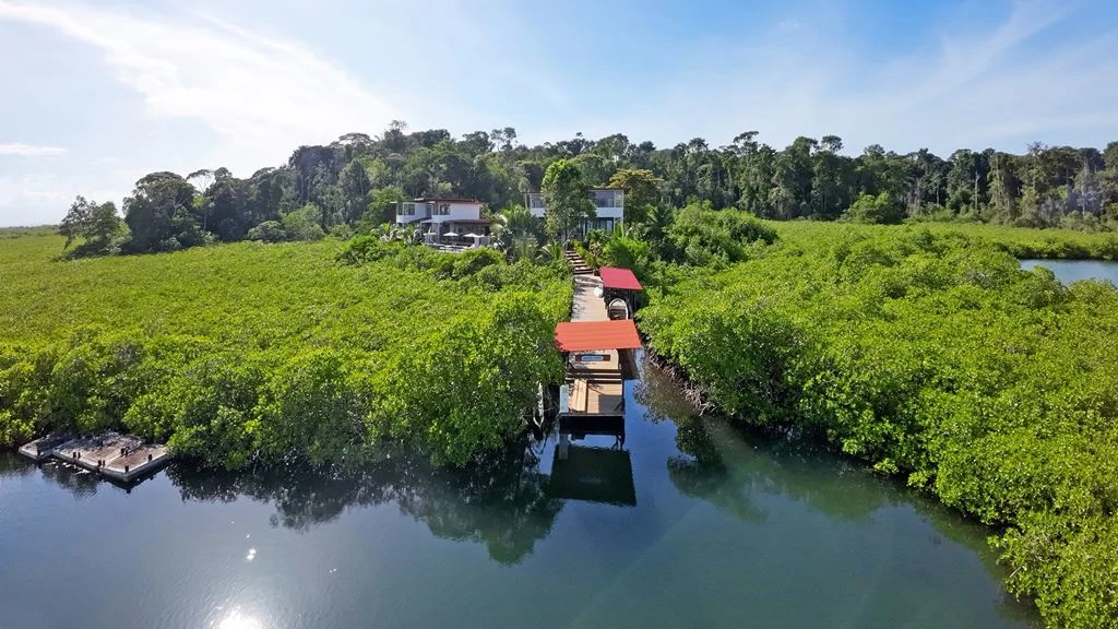Hotel in Bocas - French Touch, Sabores Locales - photo 6