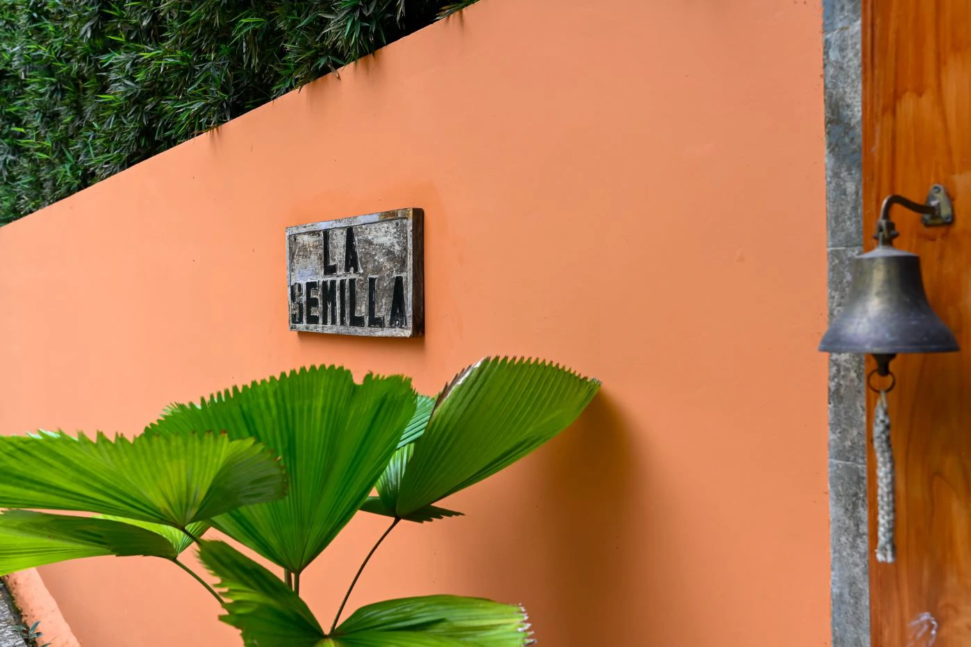 Boutique Hotel / Ecolodge for Sale in Cerro Azul – Investment Opportunity - photo 11